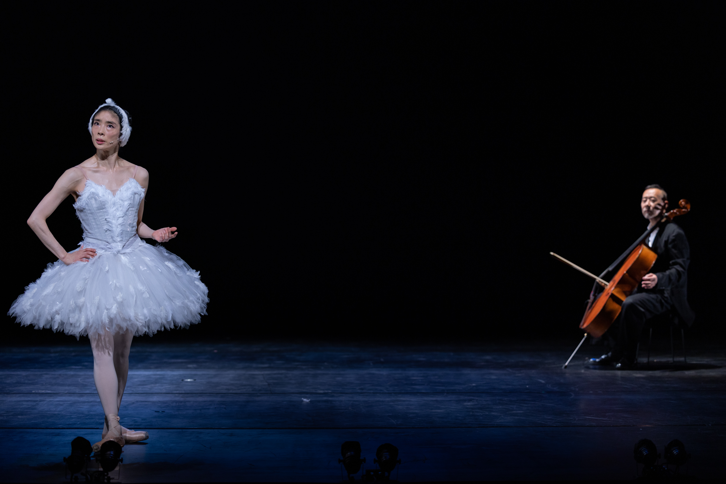 The Dying Swan and Its Cause of Death ｜ Dance Base Yokohama